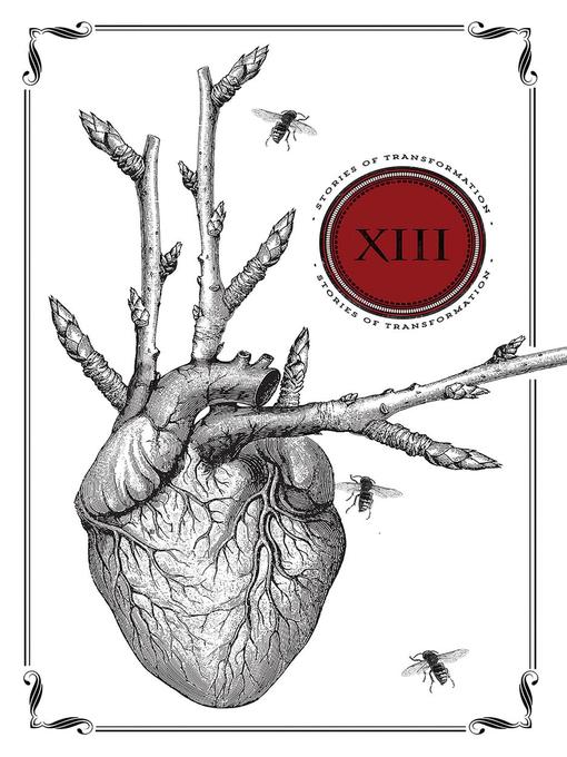 Cover image for Thirteen